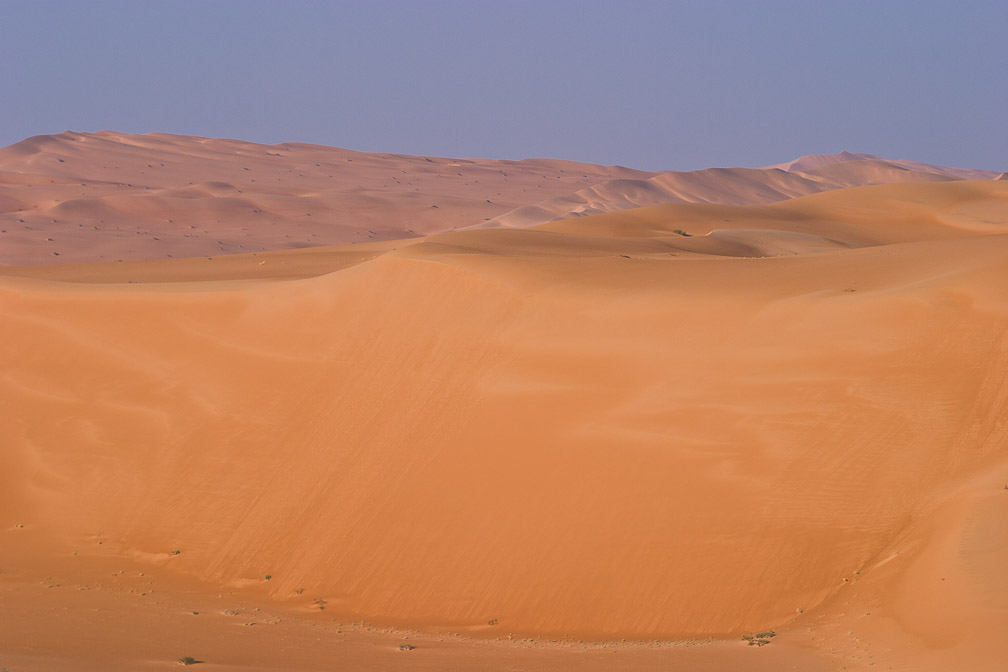 tall-dune-saudi-arabia.jpg