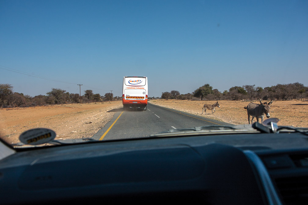 werda-traffic-botswana-2.jpg