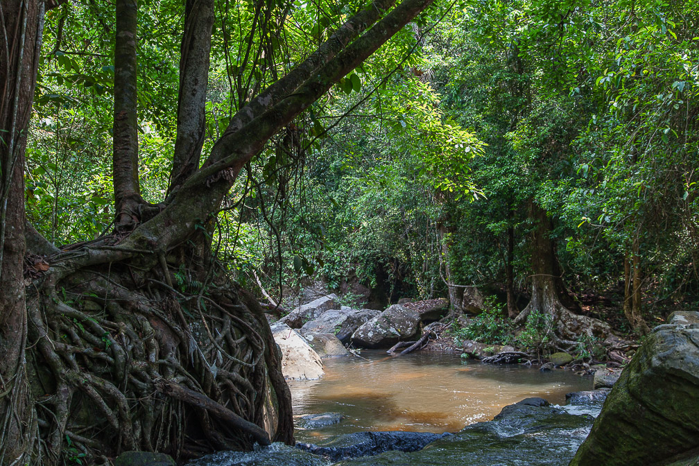 phnom-koulen-waterfall-cambodia-6.jpg
